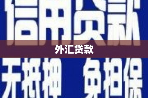 博罗外汇贷款