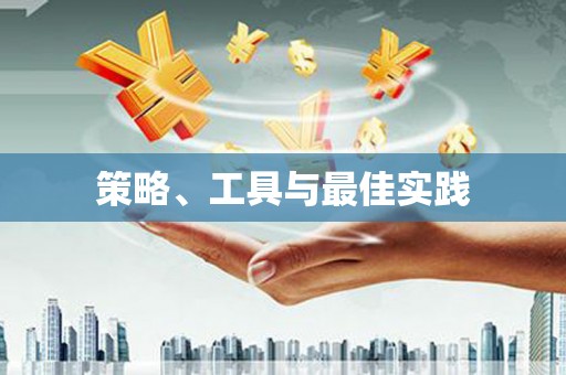 博罗策略、工具与最佳实践