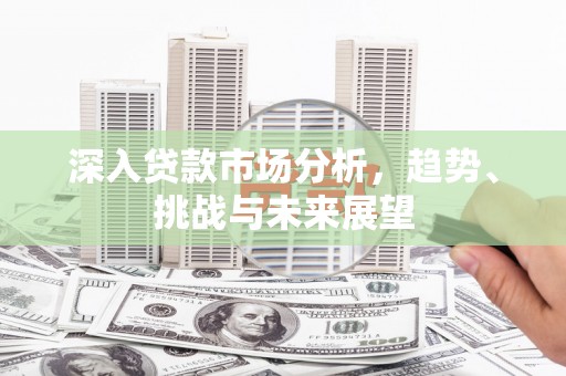博罗深入贷款市场分析，趋势、挑战与未来展望