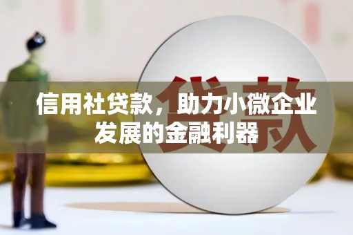 博罗信用社贷款，助力小微企业发展的金融利器
