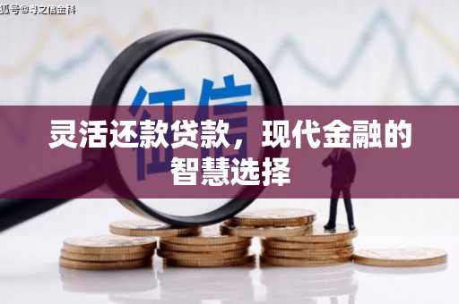 博罗灵活还款贷款，现代金融的智慧选择