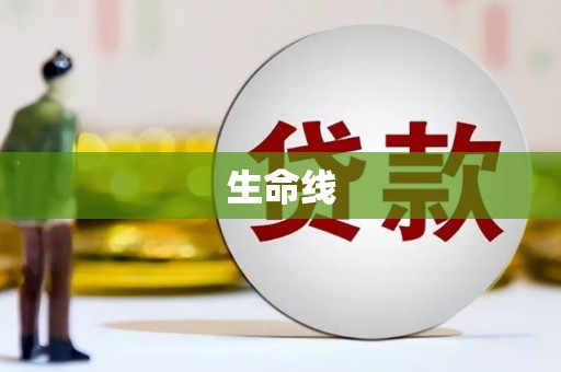 博罗生命线