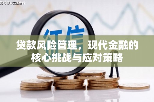 博罗贷款风险管理，现代金融的核心挑战与应对策略
