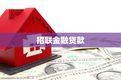 博罗招联金融贷款