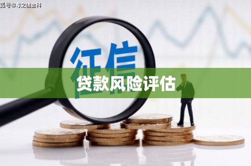 博罗贷款风险评估