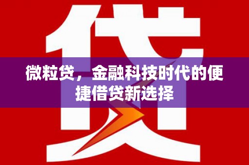 博罗微粒贷，金融科技时代的便捷借贷新选择