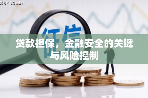 博罗贷款担保，金融安全的关键与风险控制
