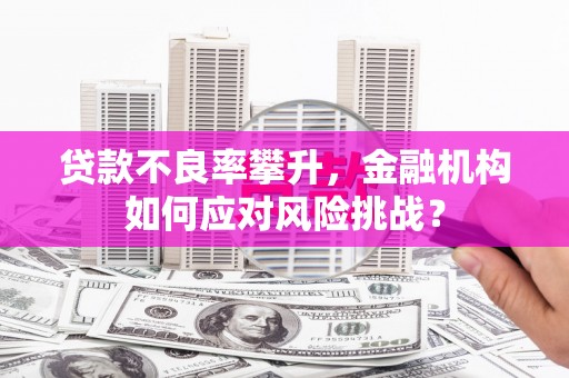 博罗贷款不良率攀升，金融机构如何应对风险挑战？