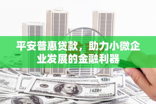 博罗平安普惠贷款，助力小微企业发展的金融利器