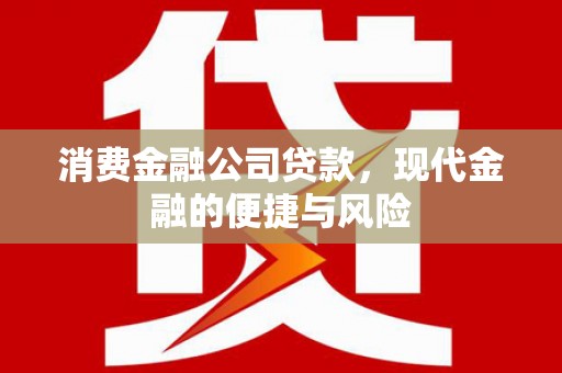 博罗消费金融公司贷款，现代金融的便捷与风险