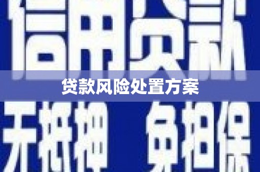 博罗贷款风险处置方案