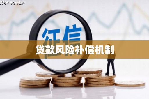博罗贷款风险补偿机制