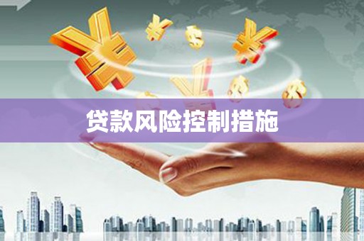 博罗贷款风险控制措施